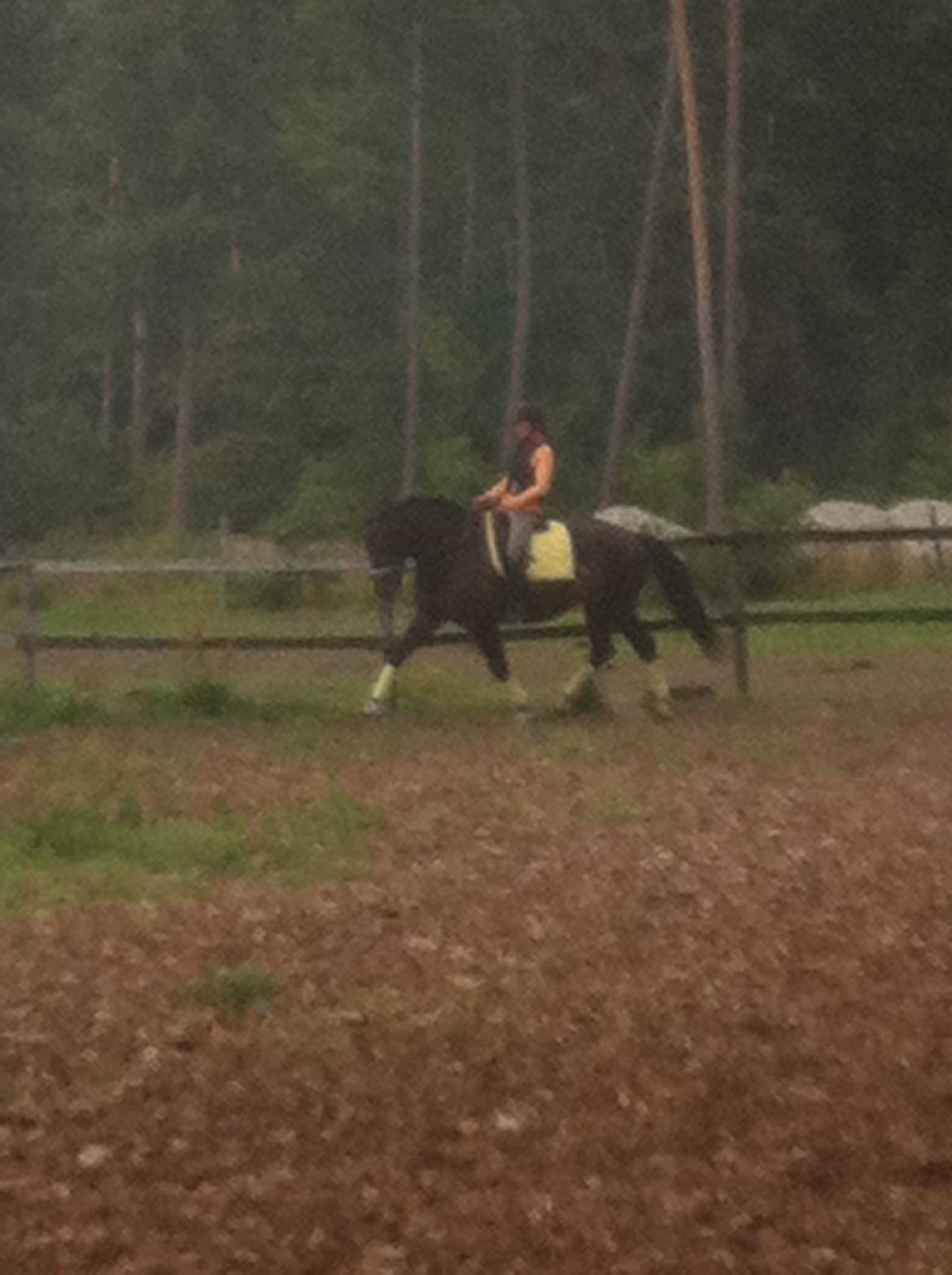 Oldenborg Dixi - efter 14 dages tilridning .-) billede 8