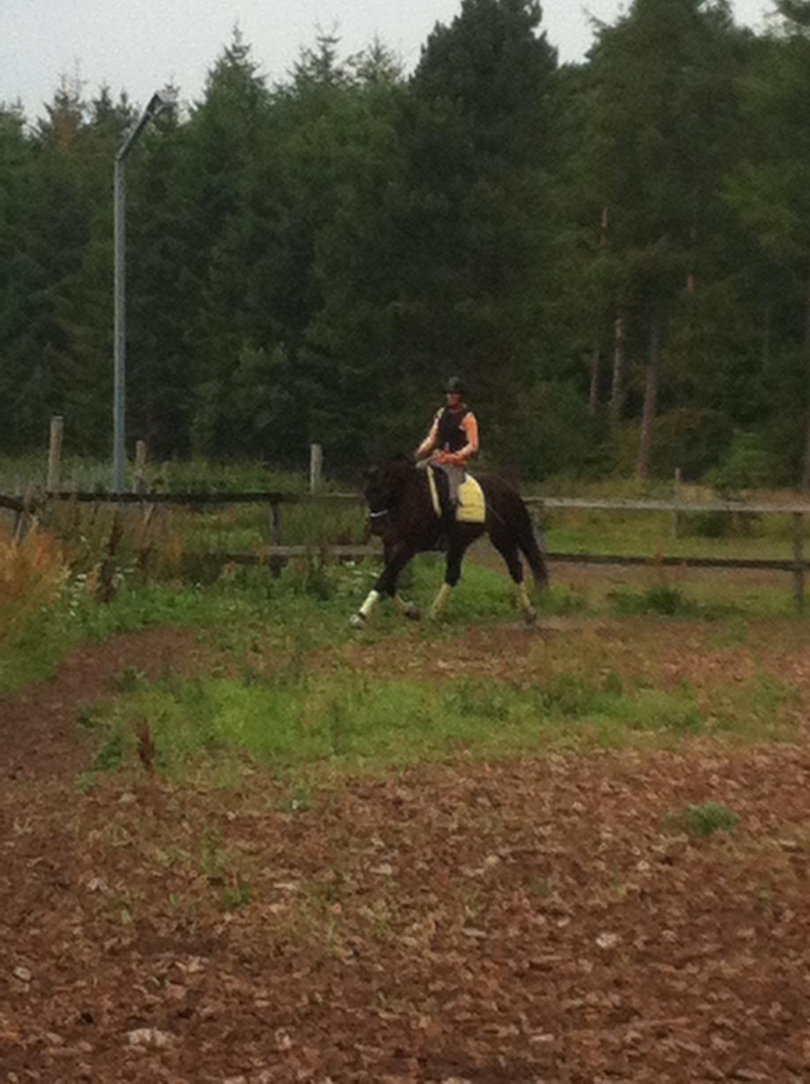 Oldenborg Dixi - og nu ....... billede 10