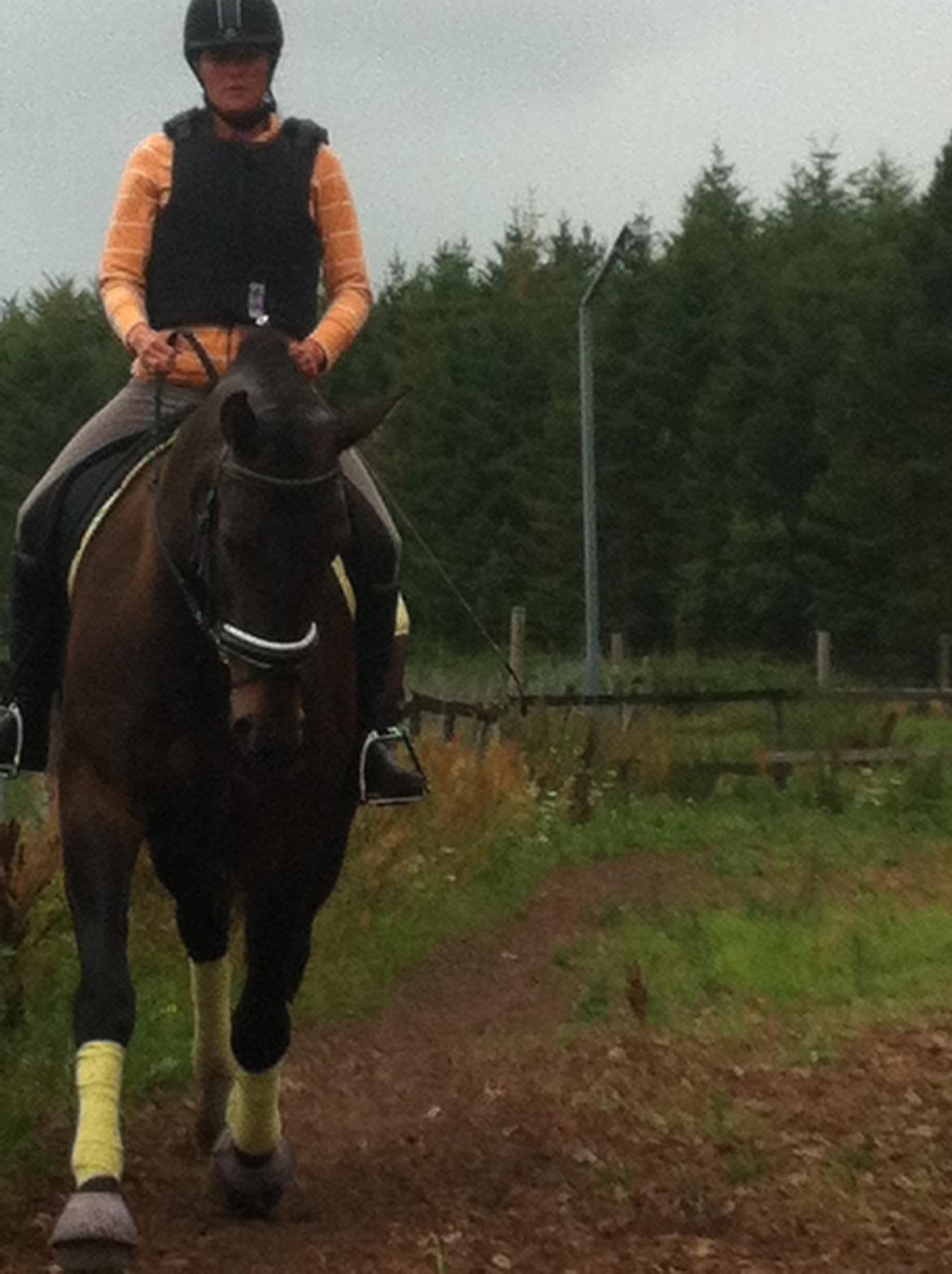 Oldenborg Dixi - og mere fra 30/8-13 billede 11