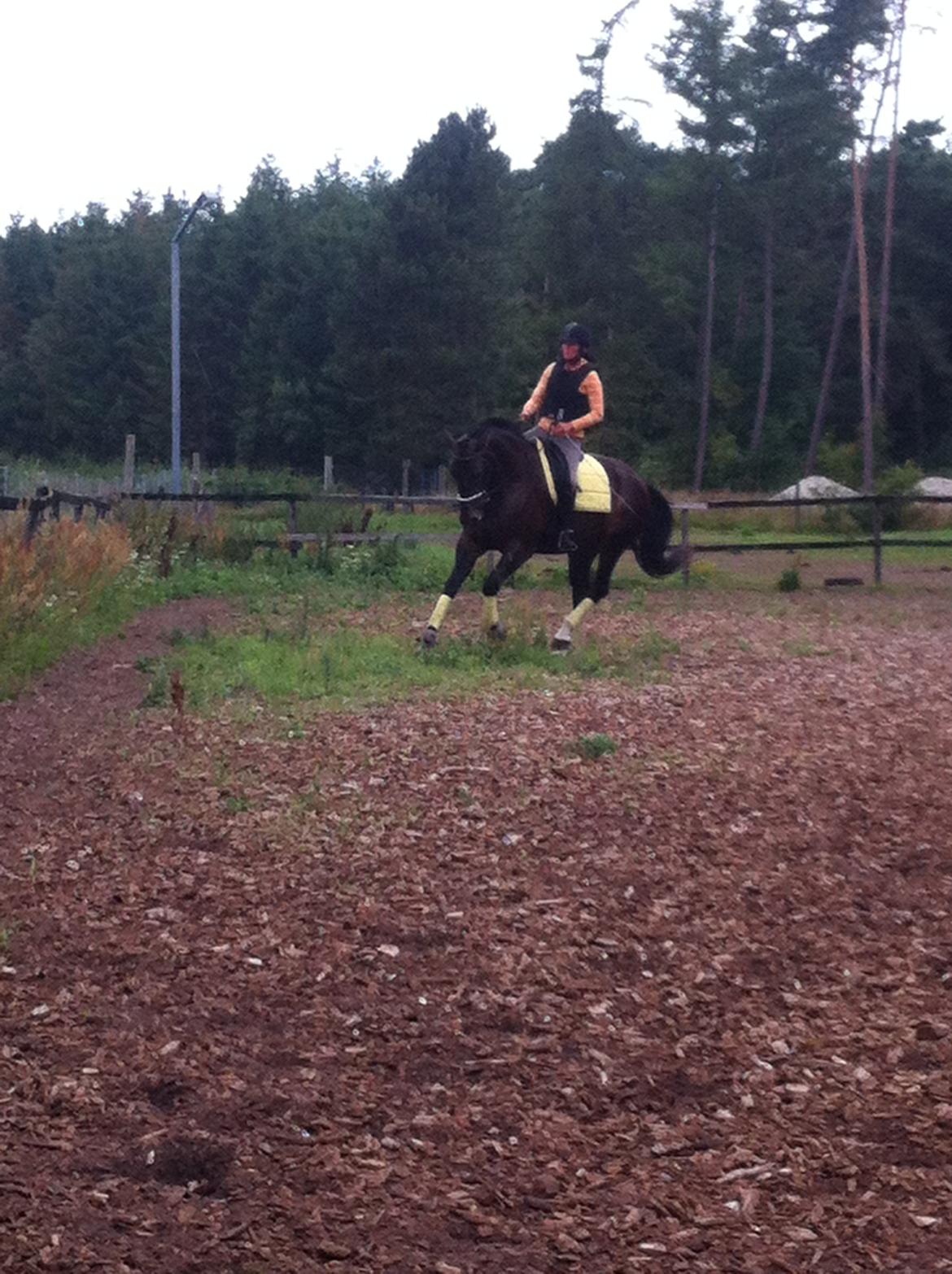 Oldenborg Dixi billede 13