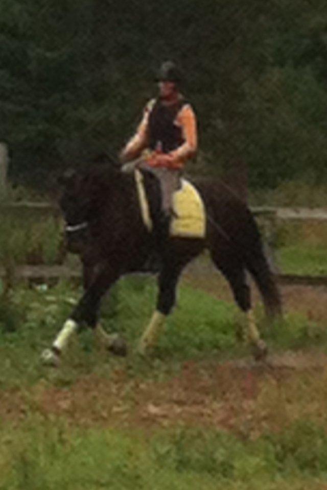 Oldenborg Dixi billede 15