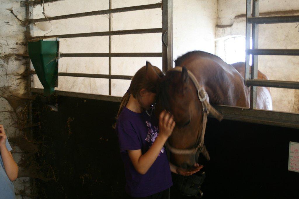 Anden særlig race Helena - da jeg fik helena billede 10