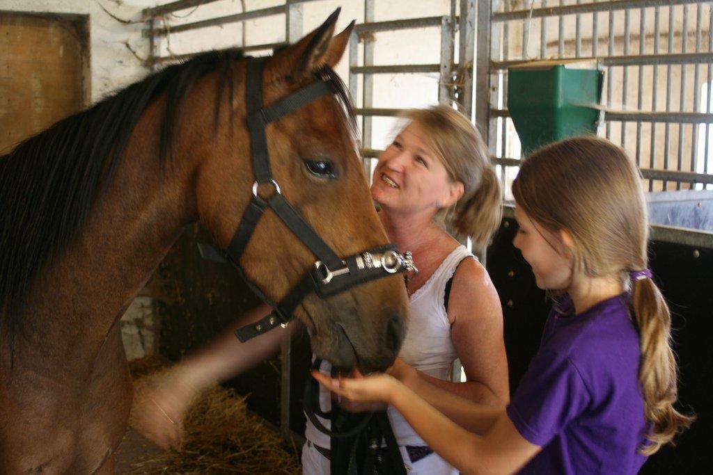 Anden særlig race Helena - Er hun ikke bare smuk billede 9