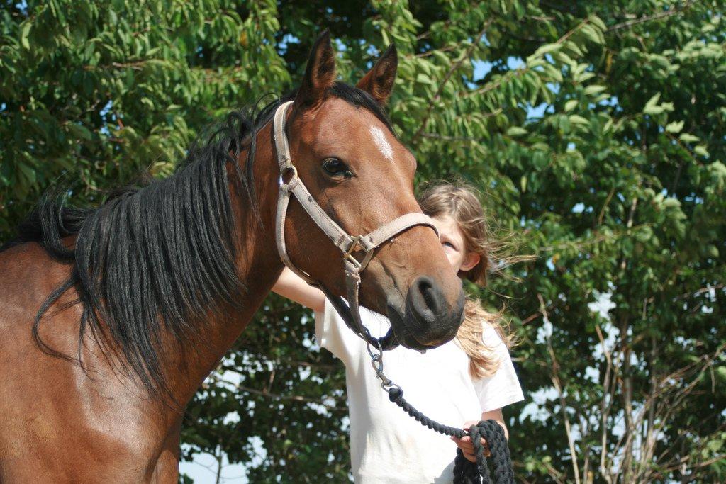 Anden særlig race Helena - Første dag hjemme med Helena billede 7