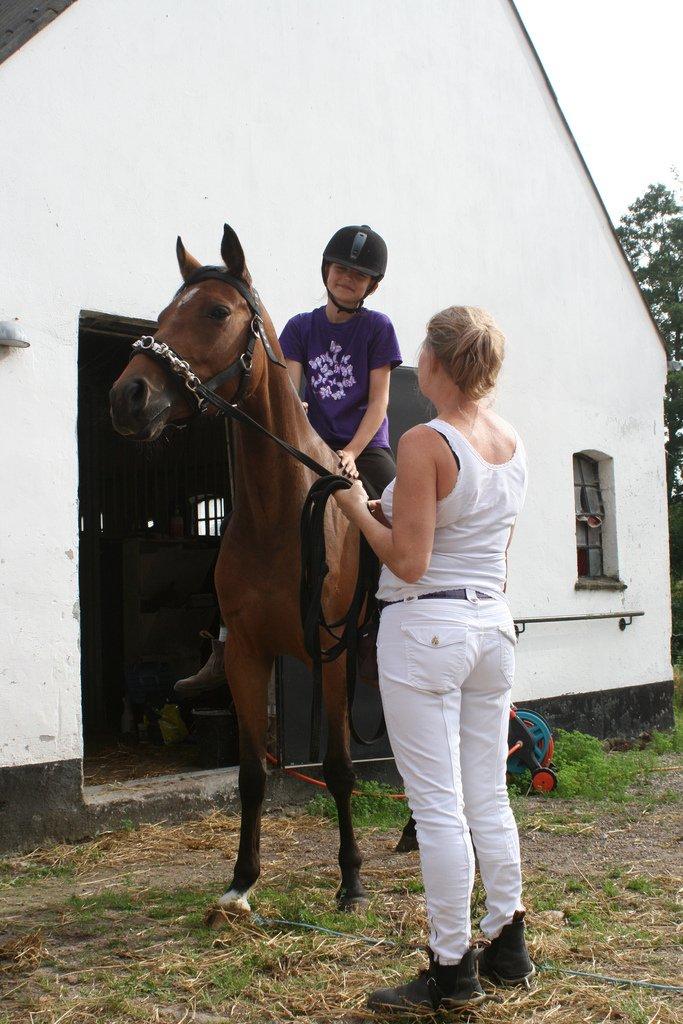 Anden særlig race Helena - anden gang jeg sad på helena billede 11