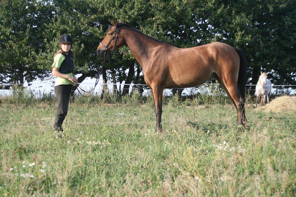 Anden særlig race Helena billede 12