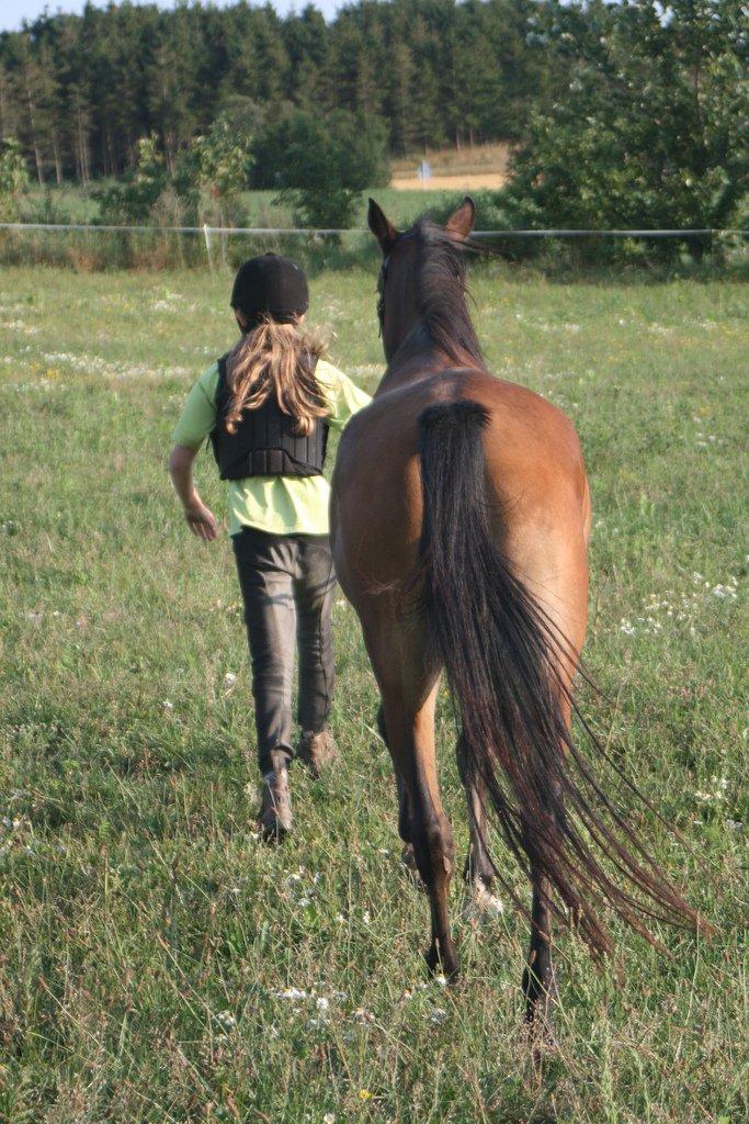 Anden særlig race Helena - nu skal jeg på fold billede 19