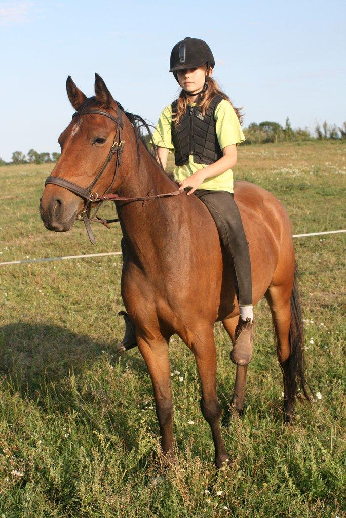 Anden særlig race Helena billede 15