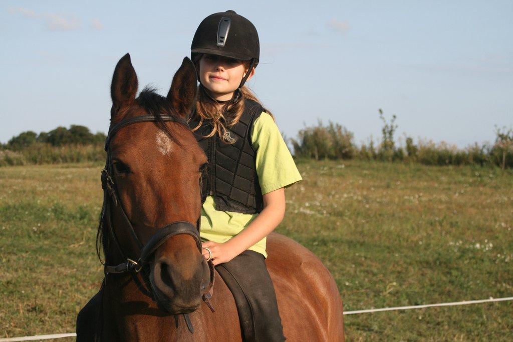 Anden særlig race Helena billede 16
