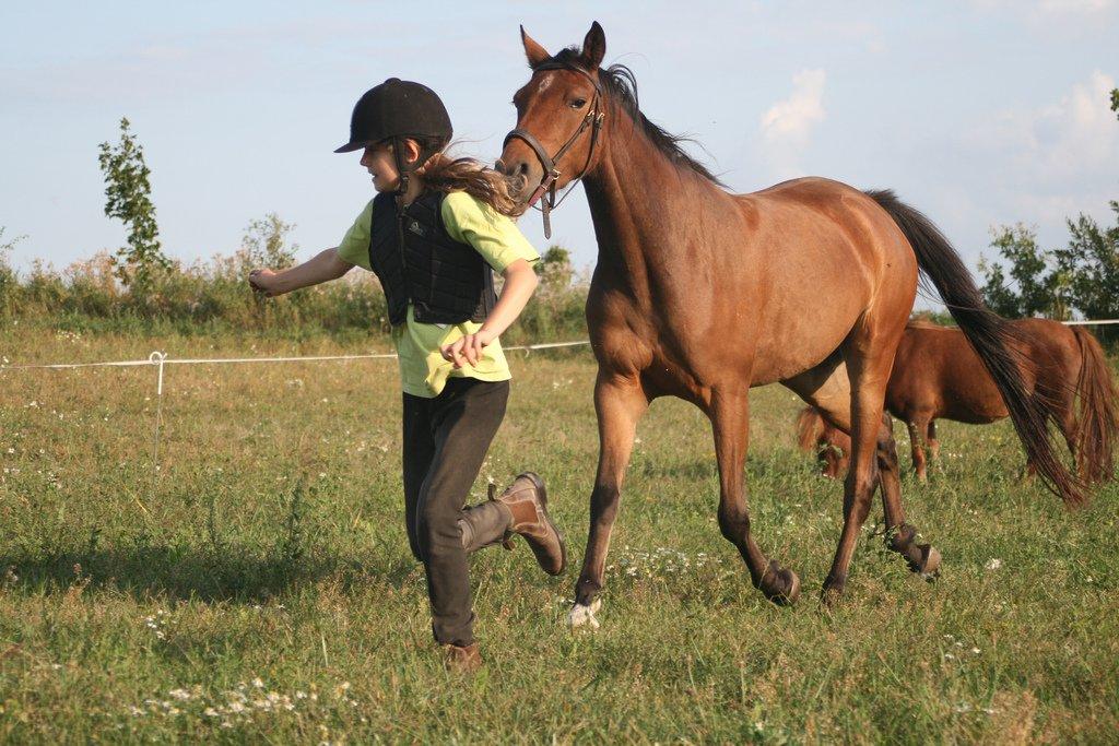 Anden særlig race Helena billede 17