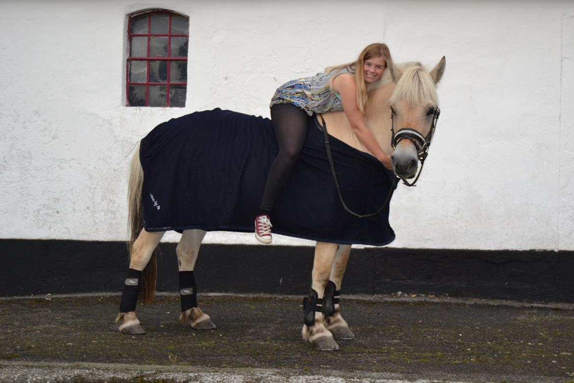 Fjordhest Jydegårdens Luna [himmelhest] - <3 <3  30-8-2013 billede 5