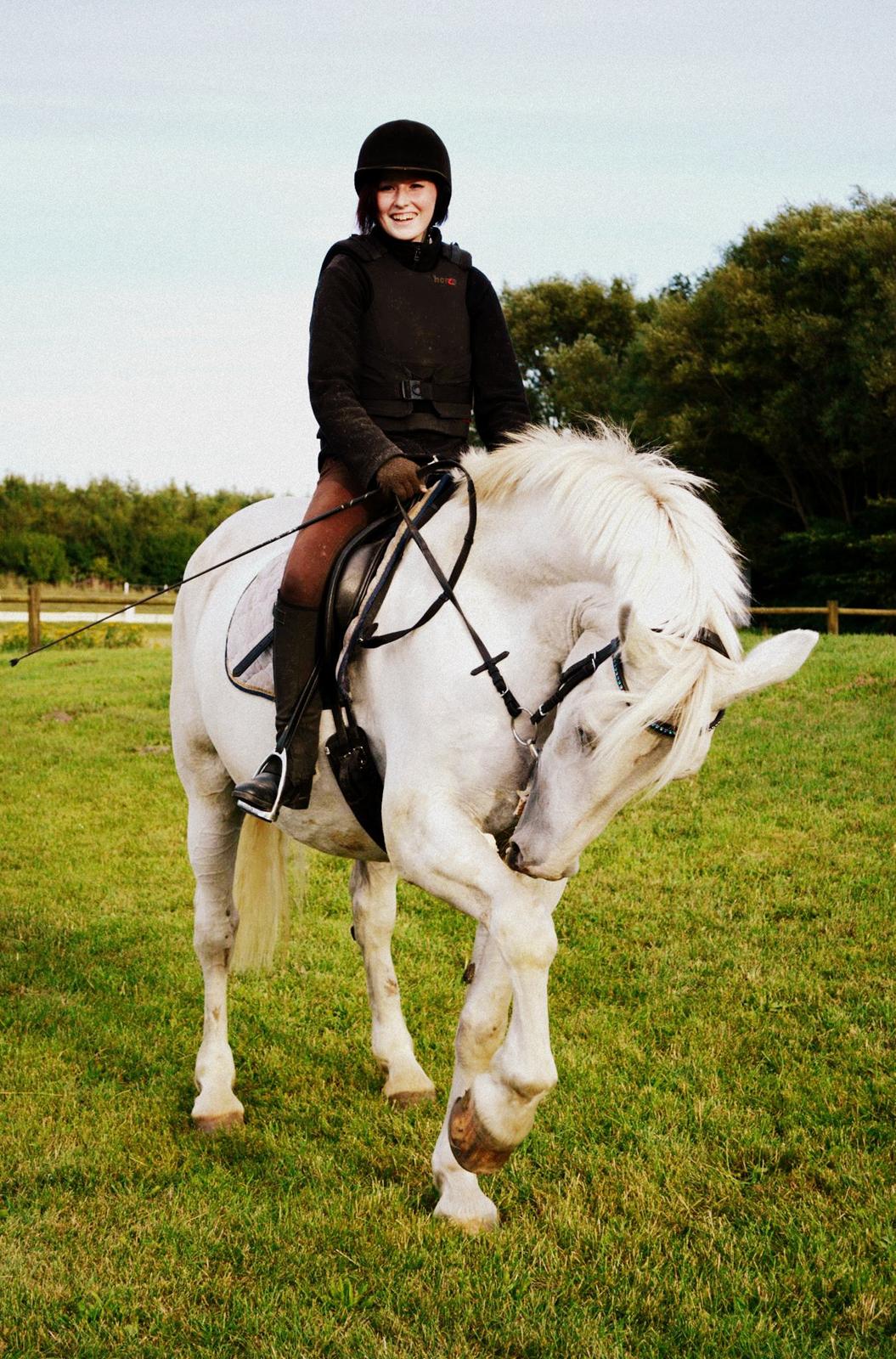 Anden særlig race Smokie billede 1