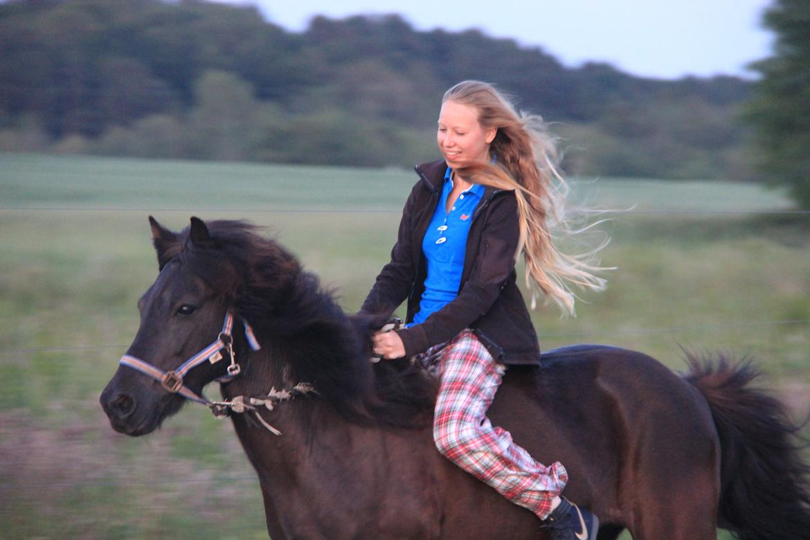 Islænder Drífa fra Katulabo - Living a dream - 2012 billede 11