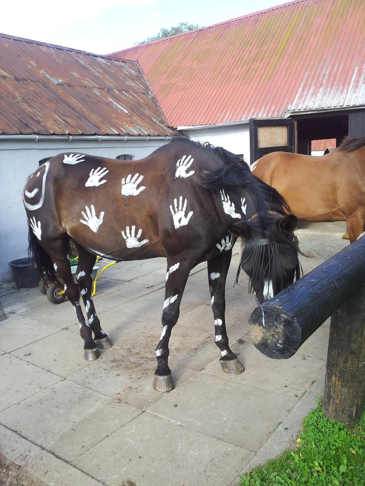 Traver Another st ( RIP ) død 17 dec 2018 billede 14