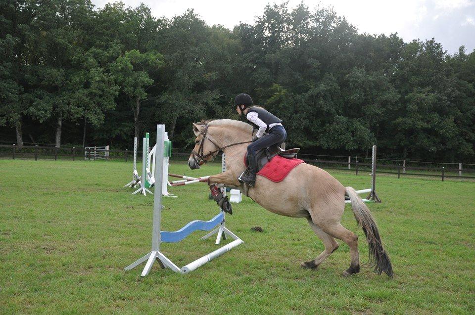 Fjordhest tronelunds sandre - første spring sammen <3 billede 15