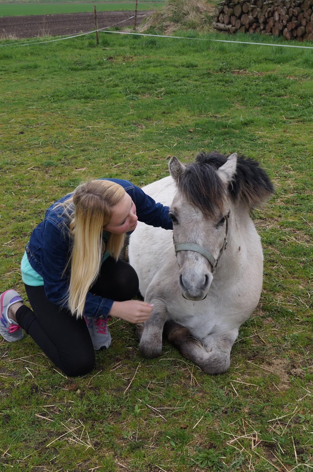Anden særlig race Pippi ( Solgt) - Anna og Pippi
- Trust <3 billede 20
