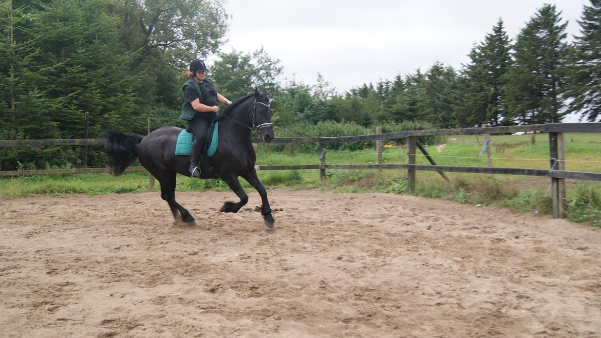 Frieser Zafir of Yderheden billede 7