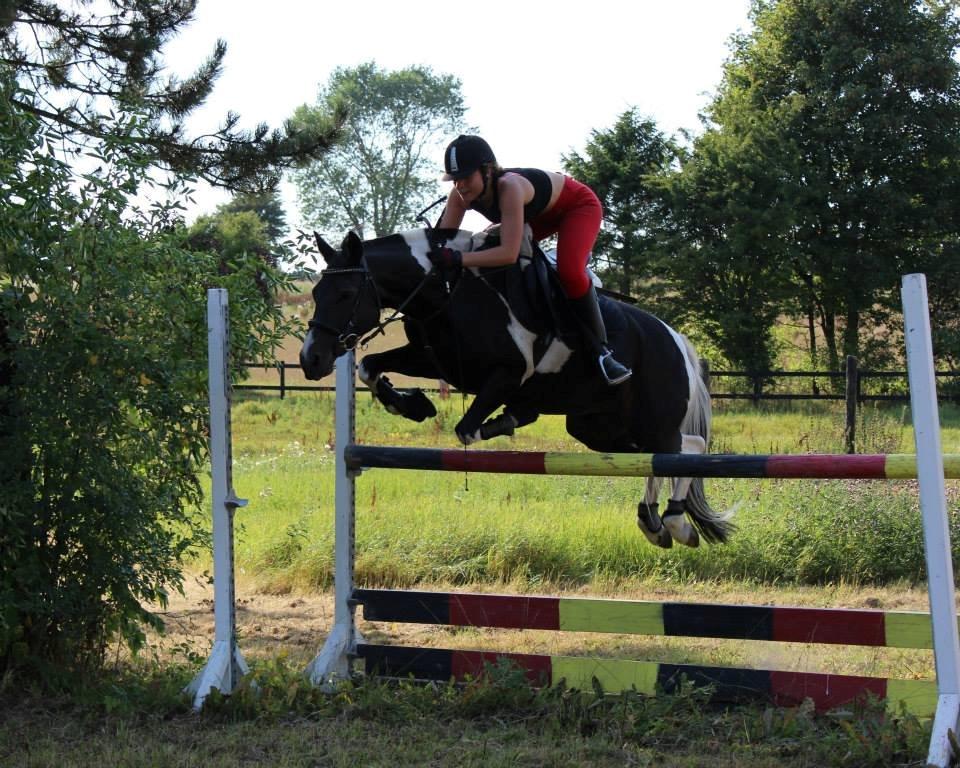 Anden særlig race Lundsbjergårds Indi - Velkommen til Indi's profil<3  billede 1