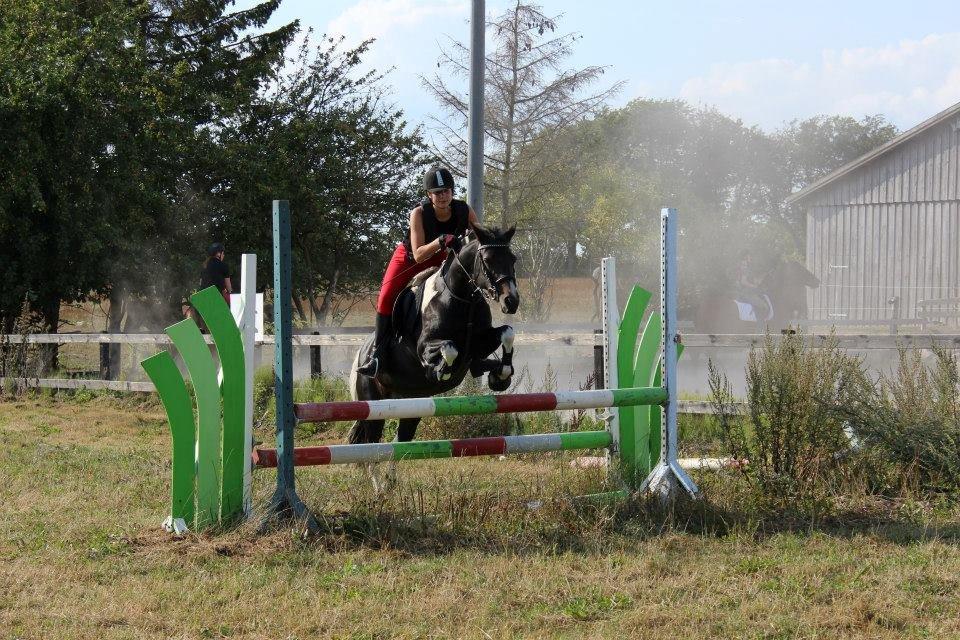 Anden særlig race Lundsbjergårds Indi billede 5