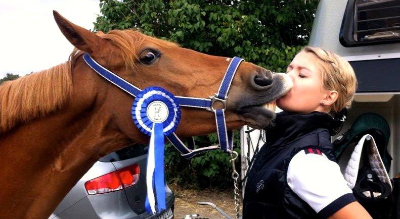 Tysk Sportspony Bacardi billede 5