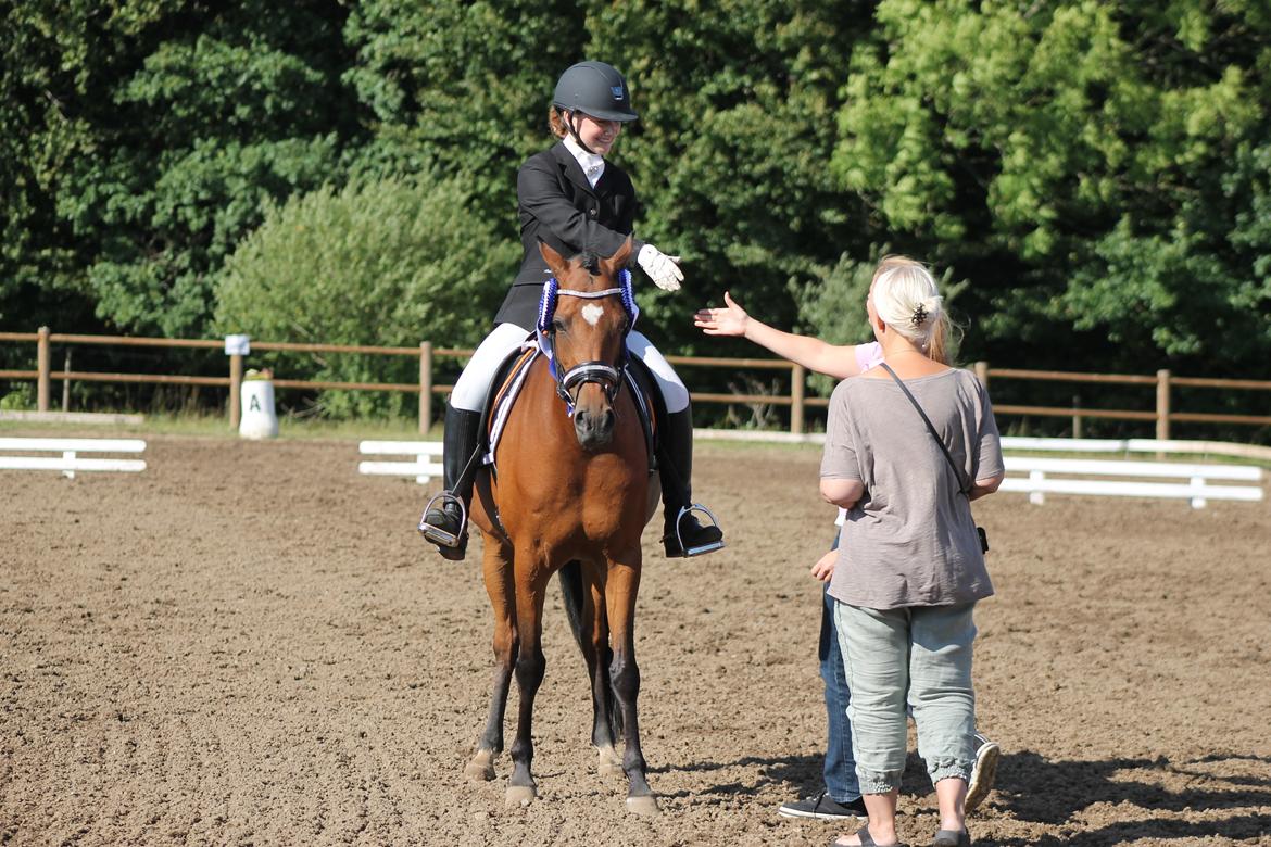 DSP Røgild's Cabatini Z - Præmieoverrækkelse & æresrunde 1. første billede 8