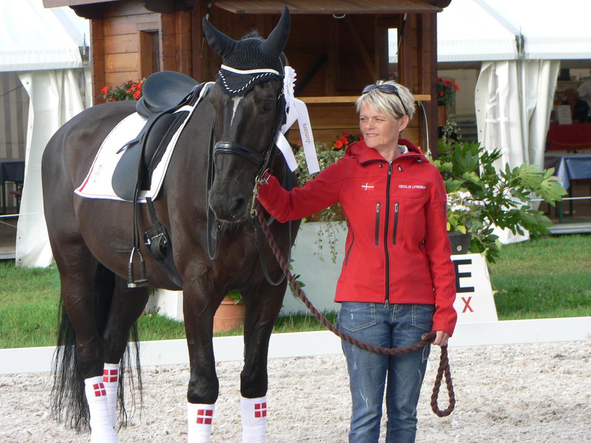 Dansk Varmblod Lambada - Min mor og Lambada ved præmieoverrækkelsen til EM i Bern 2012.  billede 13