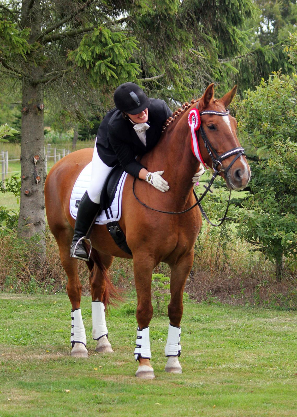 Anden særlig race Athene (SOLGT) - Stjerne Athene til vores første stævne :) billede 1