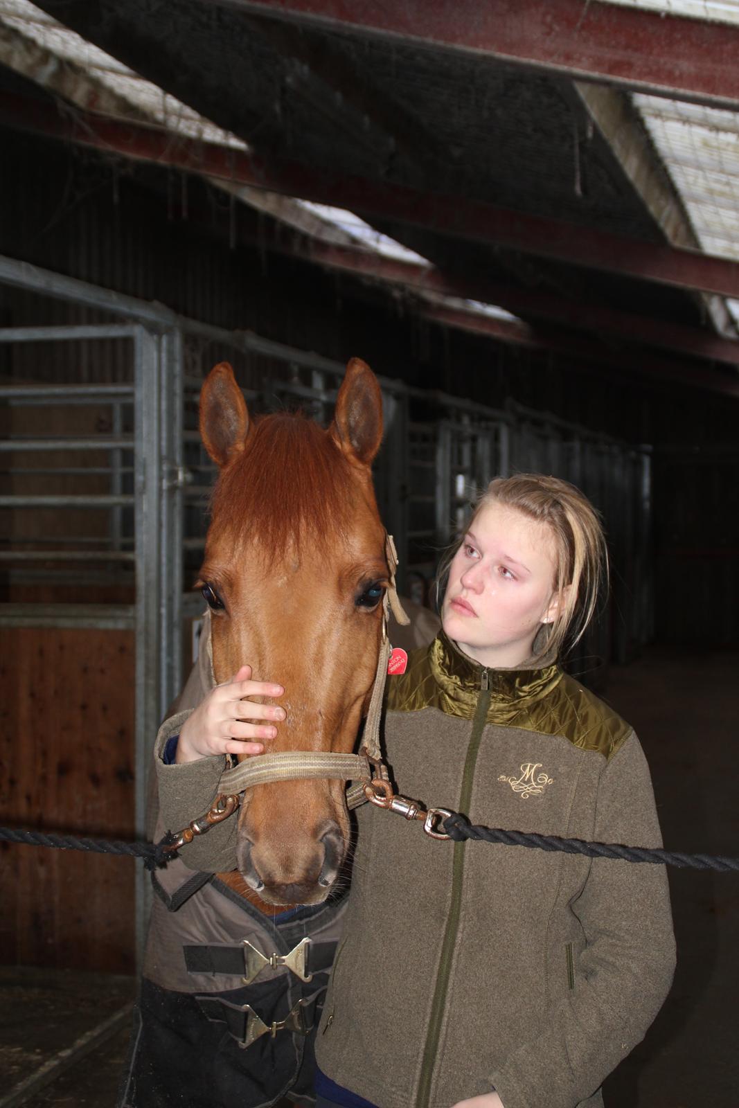 Anden særlig race Anton - Solgt - Min elskede guldfisk<3 billede 4