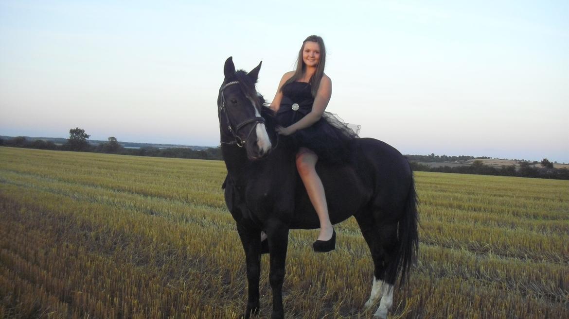 Anden særlig race Bertil - Bertil og jeg, august 2013. billede 15