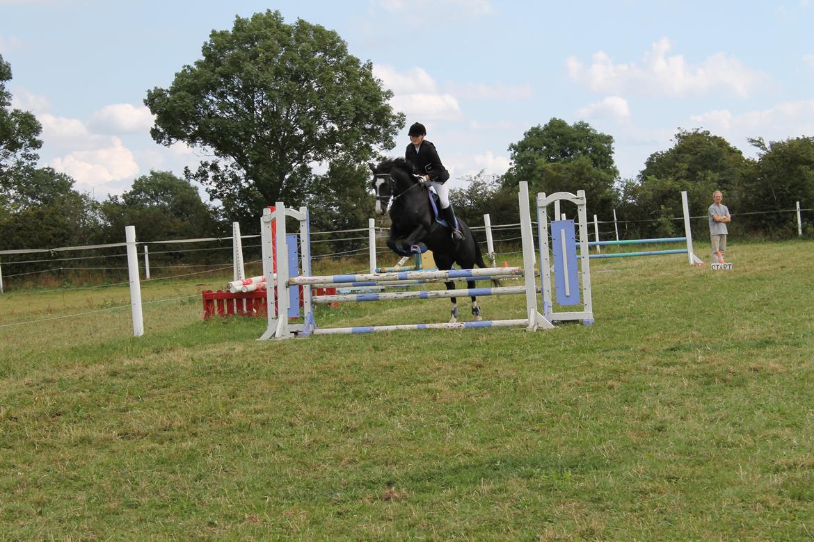 Anden særlig race Bertil - Bertil og jeg, springstævne på HMR LC, august 2013. billede 9