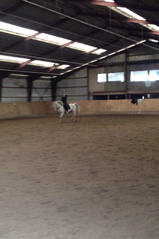 Anden særlig race Bill<3 billede 2