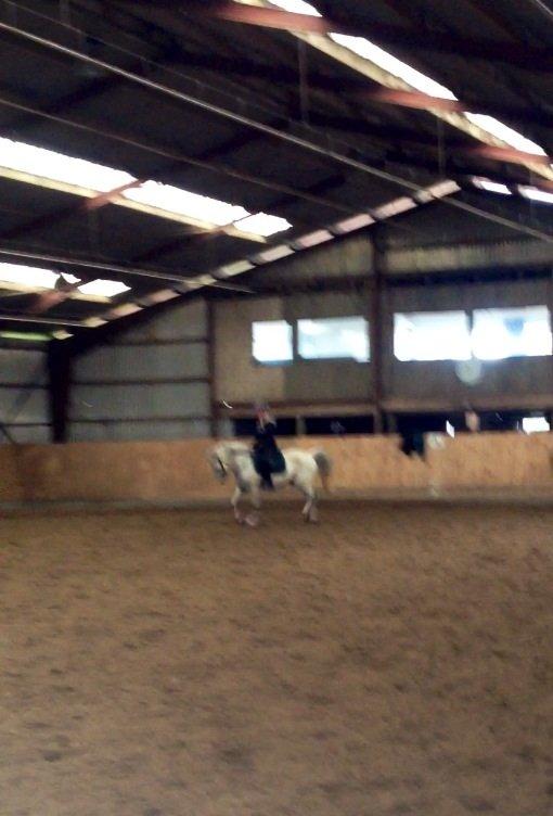 Anden særlig race Bill<3 billede 3