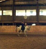 Anden særlig race Bill<3 billede 4