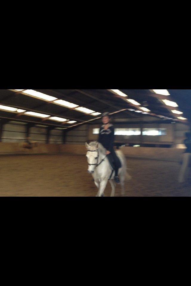 Anden særlig race Bill<3 billede 5