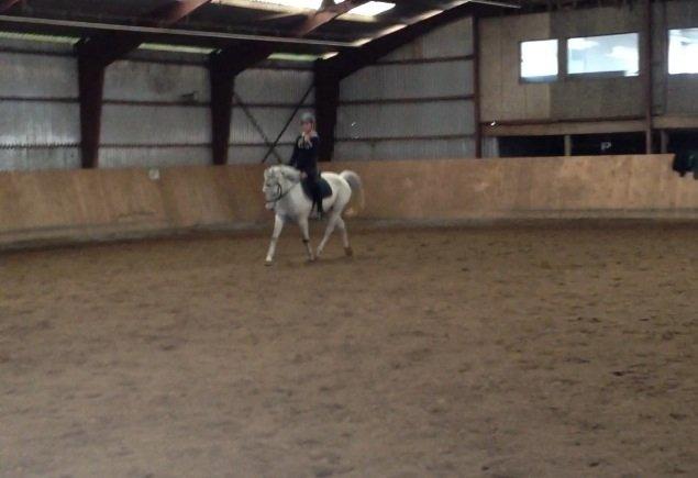 Anden særlig race Bill<3 billede 6