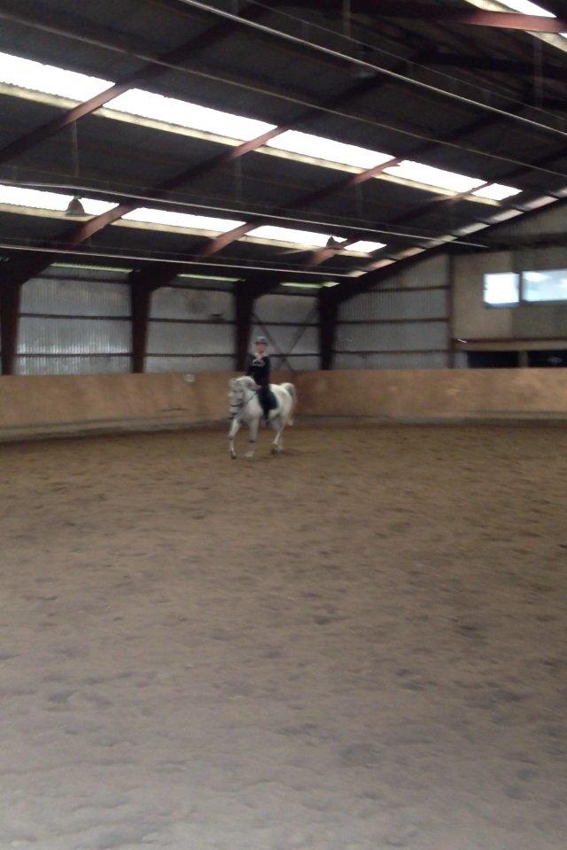 Anden særlig race Bill<3 billede 8