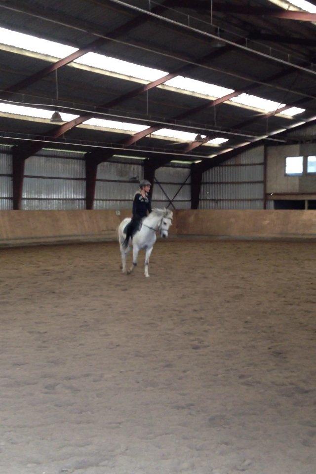 Anden særlig race Bill<3 billede 9