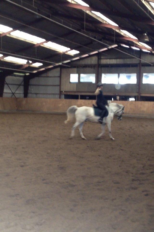 Anden særlig race Bill<3 billede 10