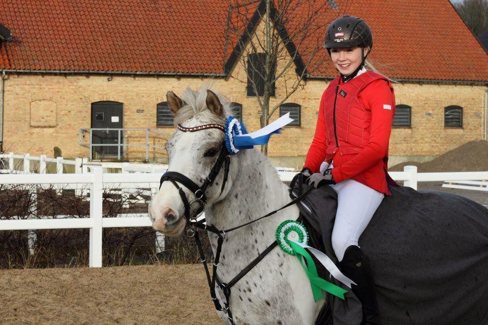 Anden særlig race Hot'n Tot A-PONY billede 12