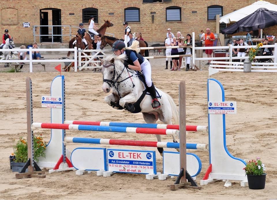 Anden særlig race Hot'n Tot A-PONY billede 14