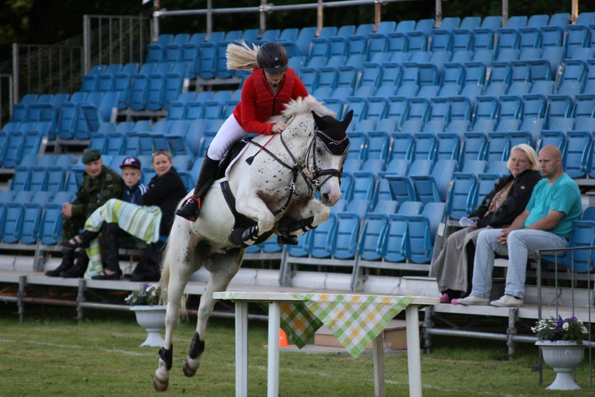 Anden særlig race Hot'n Tot A-PONY billede 15