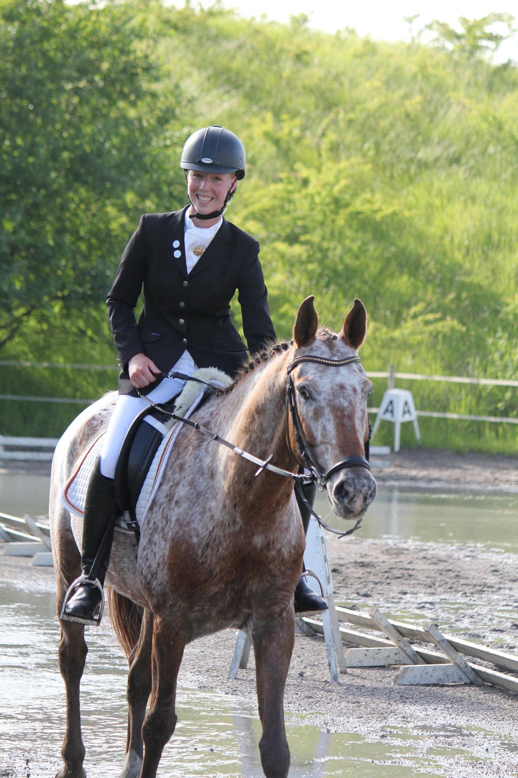 Knabstrupper Hoffgaards Anton - Sidste stævne på stjernen!
FOTO: Simone Kristensen
 billede 18