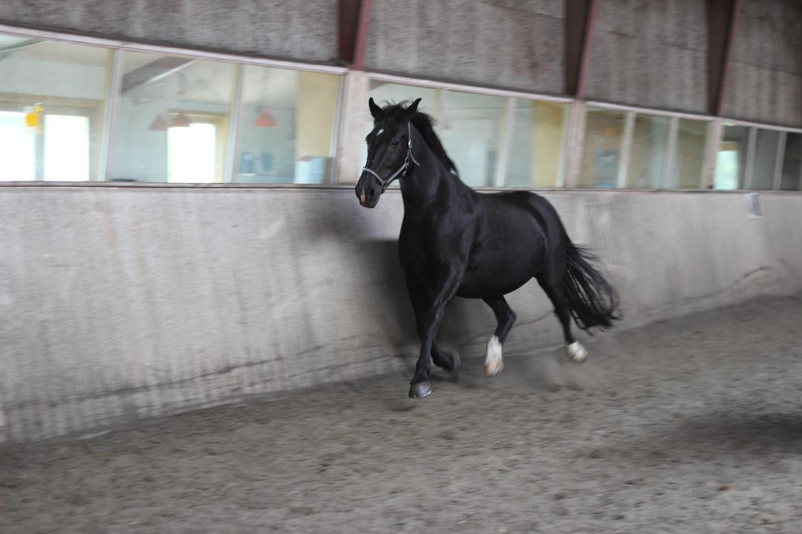 Oldenborg Stidsbjergs Meta billede 7