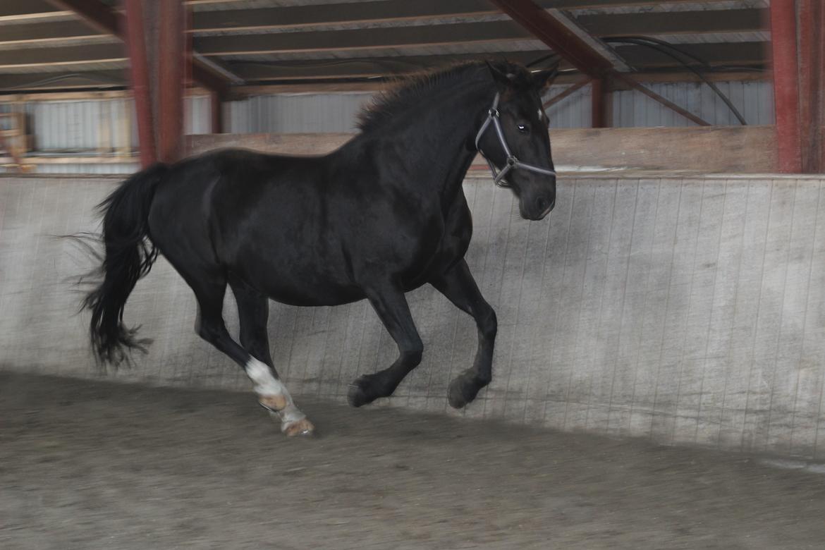 Oldenborg Stidsbjergs Meta billede 8