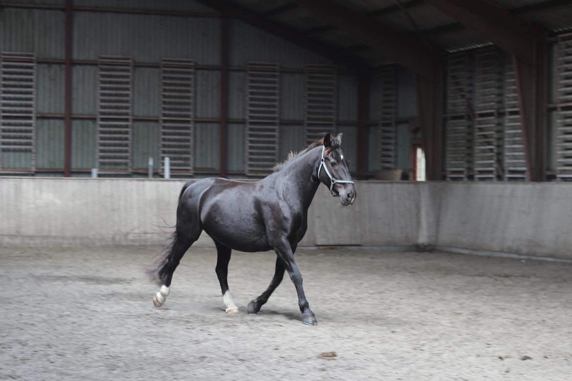 Oldenborg Stidsbjergs Meta billede 9