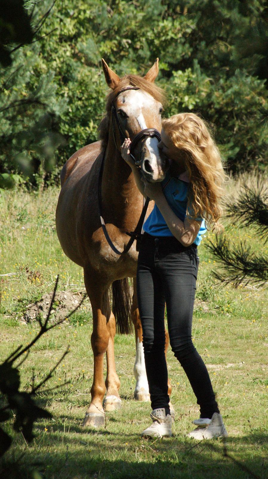Anden særlig race Sweet Cherry [B-Pony] Aflivet - You may be out of my sight but never out of my mind <3 billede 1