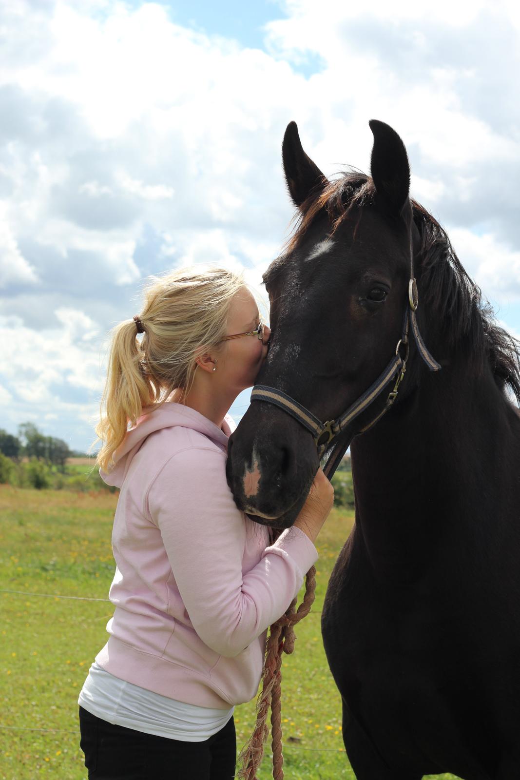 Oldenborg Stidsbjergs Meta - Aww billede 3