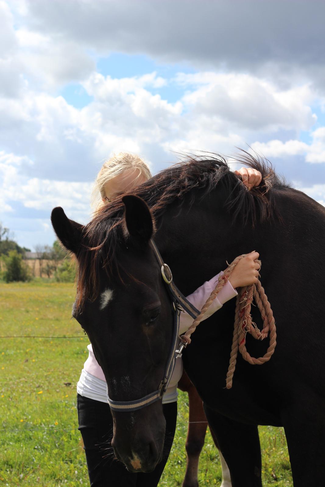 Oldenborg Stidsbjergs Meta billede 2