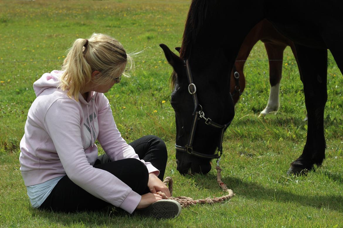 Oldenborg Stidsbjergs Meta billede 11