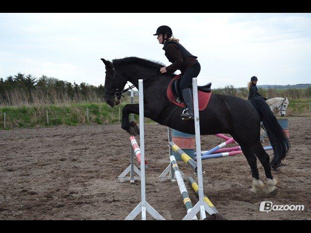 Oldenborg Stidsbjergs Meta billede 13